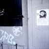 Richard Wells:Che,  Bern 1998